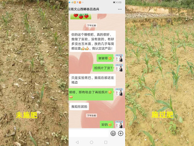 玉米幼苗长势快又齐用什么肥料好?