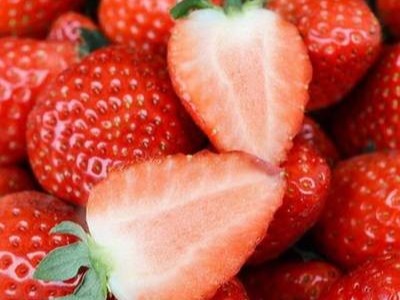 冬季草莓的种植管理要点