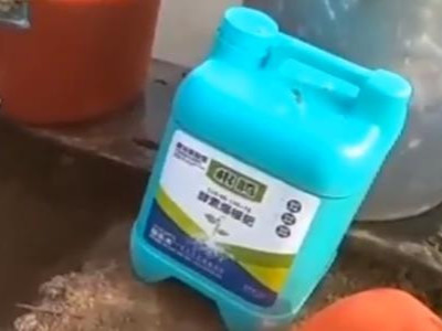 众多大姜生根肥品牌如何选择?