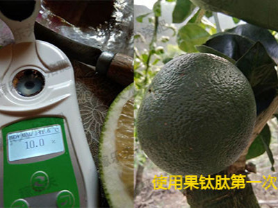 葡萄柚转色增糖用什么肥料好?