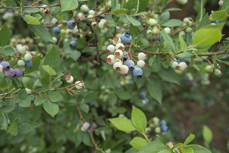 t04fdcb45ca5c91d5db t04fdcb45ca5c91d5db