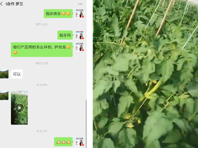 番茄预防根结线虫病害用什么肥料?