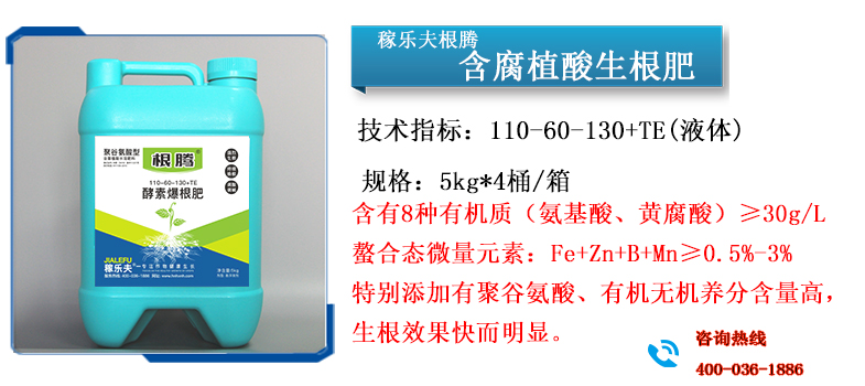 根腾 液体