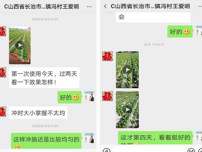山西长治白菜种植户王爱明——稼乐夫水溶肥客户案例