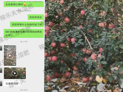 苹果用什么膨果肥长势好?