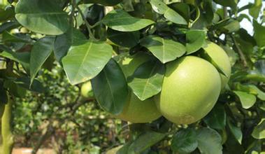 34c9465491e5d802c22e2a59ecb7ba9b