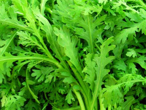 茼蒿灰斑病有什么症状？茼蒿灰斑病如何防治？