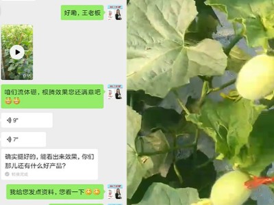 甜瓜长势慢怎么办？