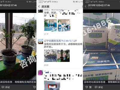 什么微生物菌剂生根促生长效果好?