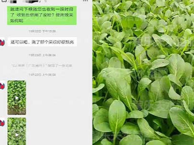 蔬菜怎么施肥品质好产量高?