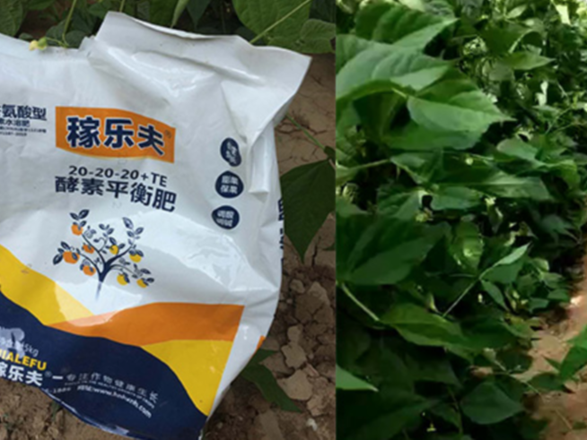 水溶肥一吨多少钱？水溶肥价格？