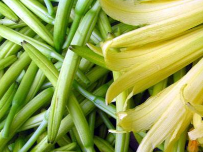 黄花菜上使用什么肥料效果好?