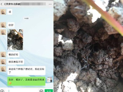 天津北辰区草莓种植户徐经理——稼乐夫水溶肥客户案例