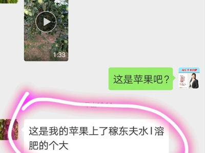 河北衡水深州苹果种植户刘经理——稼乐夫水溶肥客户案例