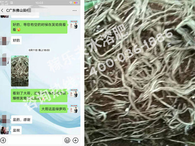要想绿萝的根系长势好用什么肥?