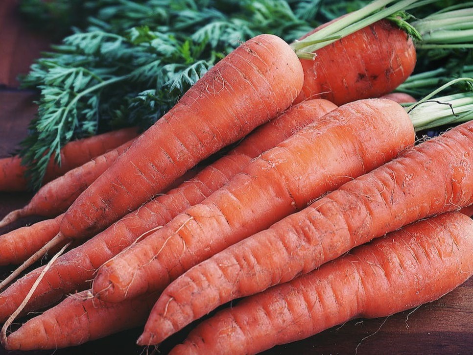 胡萝卜施肥方法，胡萝卜如何施肥可以提高产量？