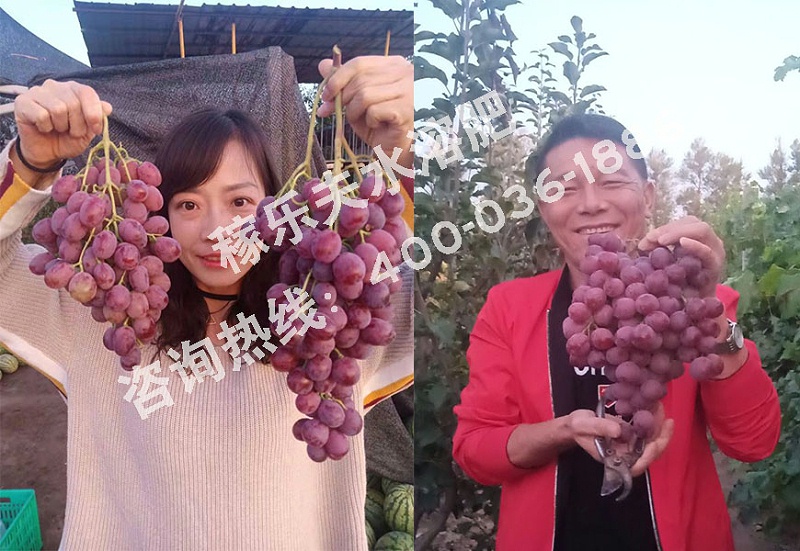 甘肃金昌代理商赵经理 (1)
