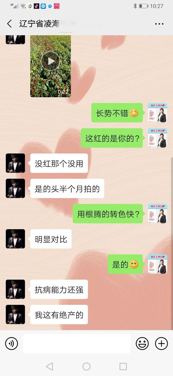 辽宁凌海种植户贾经理