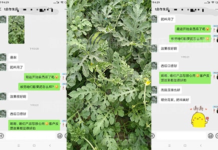 西瓜水溶肥哪家好,稼乐夫水溶肥