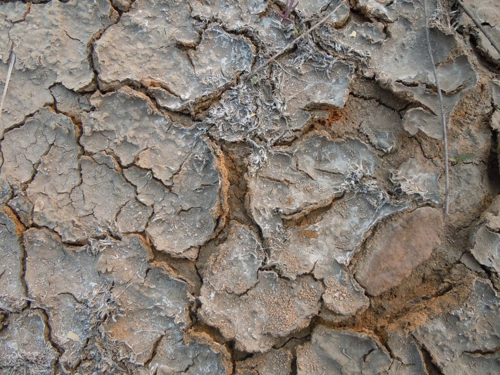 土壤出现酸化板结怎么办?