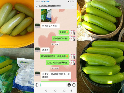 西葫芦用生根菌剂哪家好?