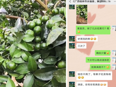 柑橘膨果肥哪家好?