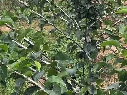 174b545b9dde48fffc9bc7397d70c42