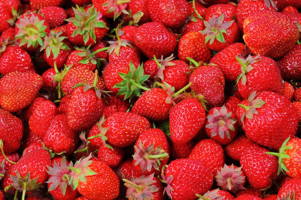 草莓种植指南，草莓的施肥方法