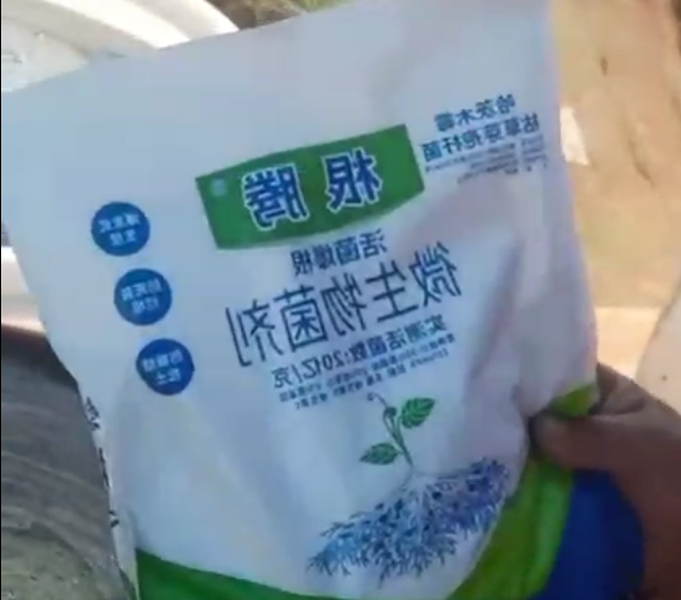 草莓使用稼乐夫水溶肥长势好