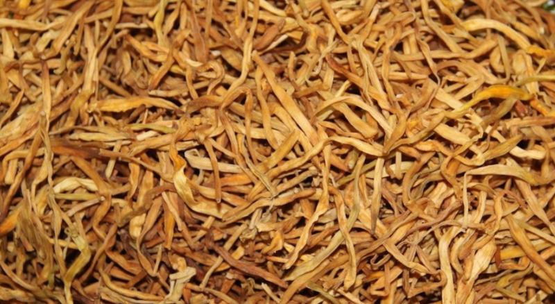 黄花菜使用稼乐夫水溶肥长势好