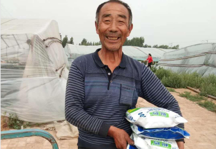山东滨州番茄种植户梁大哥