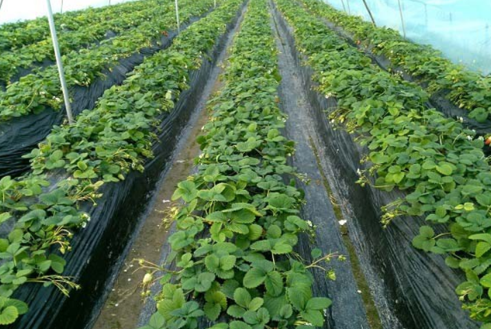 360截图20231018170618077