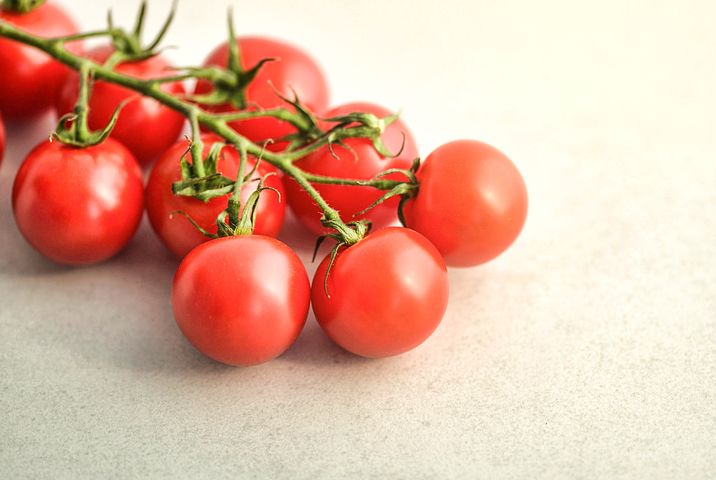 提高番茄品质的方法，番茄种植怎么才能长势好？