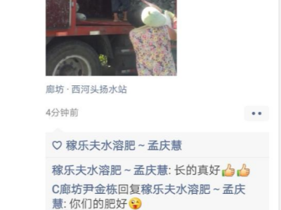 冬瓜用什么水溶肥料好?