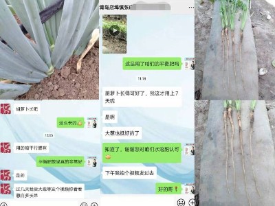 山东青岛蔬菜种植户张大哥——稼乐夫水溶肥客户案例