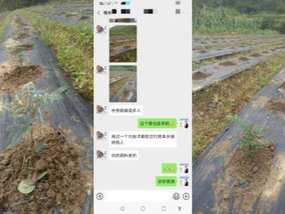 烤烟预防土传病害用什么肥料好？