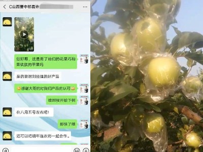 山西祁县苹果种植户许经理——稼乐夫水溶肥客户案例