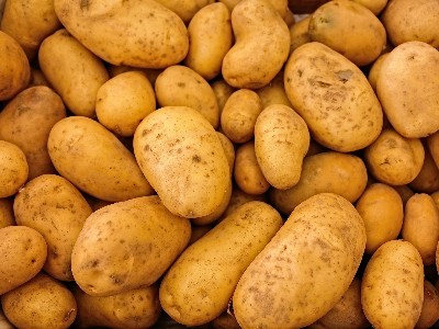 马铃​薯怎样看苗追肥？