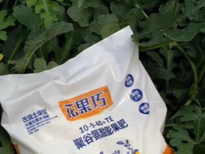 西瓜结果期用什么牌子高钾肥好?