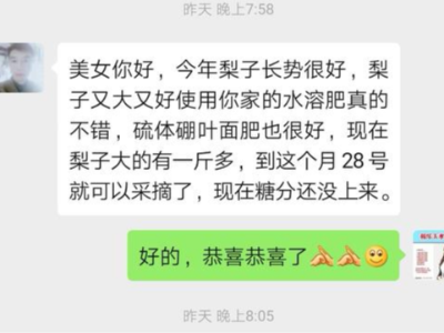 江苏连云港梨树种植户仇井根——稼乐夫水溶肥客户案例