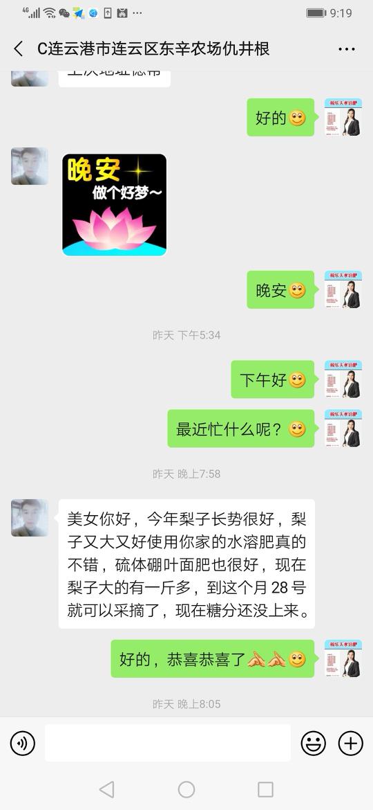 梨树上使用稼乐夫水溶肥