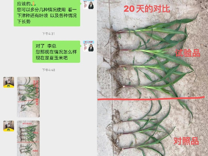 李总玉米上使用吲丁