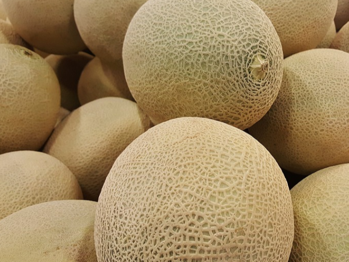 哈密瓜如何施肥可以提高产量，哈密瓜的施肥方法