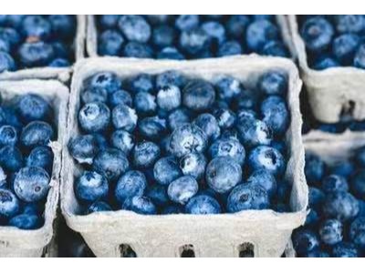 蓝莓适宜生长​的土壤环境ph值是多少？