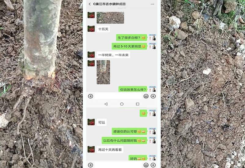 廉江市吉水镇钟经理