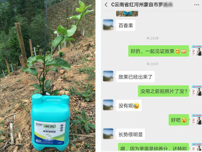 百香果生根肥哪家好?
