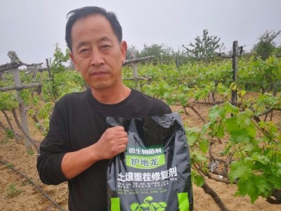 三门峡灵宝葡萄种植户高经理-稼乐夫水溶肥客户案例