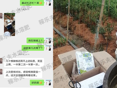 荚豆长势差怎么办?