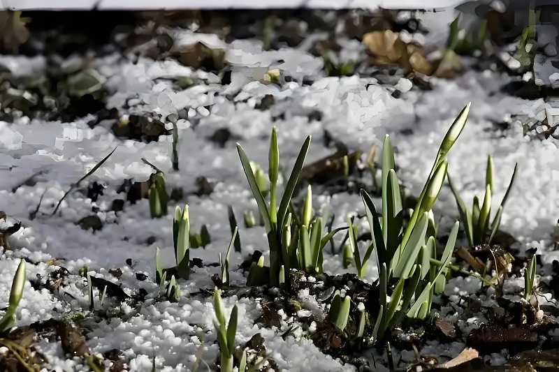 aa7a55b886a093d930c8328d068b53f