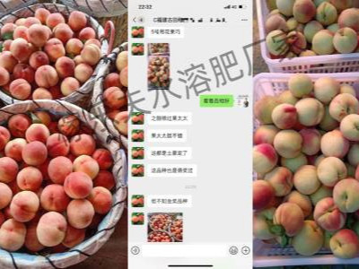 桃树膨果转色肥用什么牌子肥料效果好？